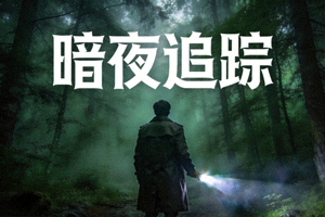 悬疑剧《暗夜追踪》封面，迷雾中的人物背影
